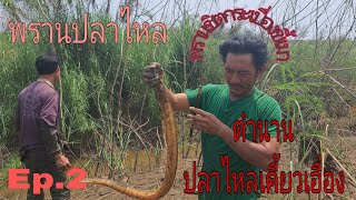ล่าปลาไหลหมาน ๆ กับทีมงาน พรานเคี้ยวเอื่องงานนี้ ได้ต้ม Ep.2