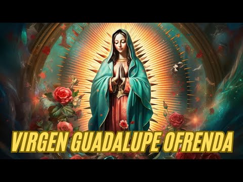 🙏MI VIRGEN DE GUADALUPE EN SU DIA🙏