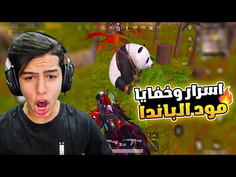 ما لا تعرفه عن مود الباندا الجديد 😎🔥