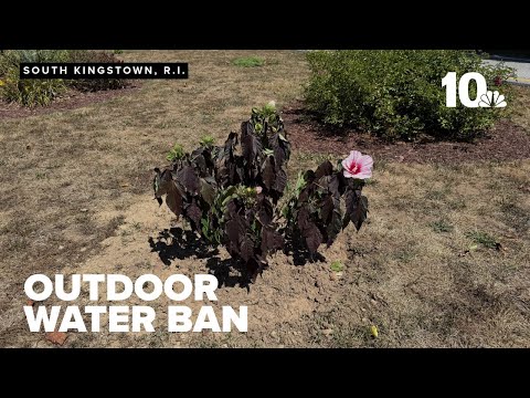 YouTube video thumbnail: Dry Conditions Force Outdoor Water Ban in Two Rhode Island Communities
