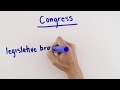 Exploring the Structure and Powers of Congress