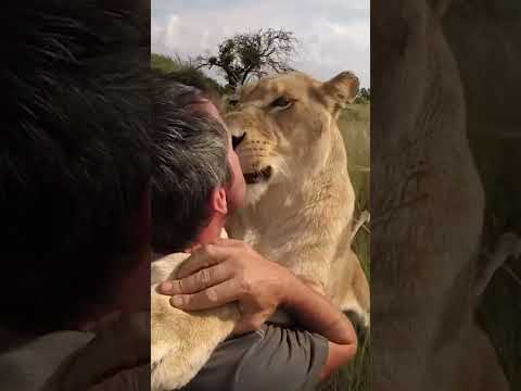 Happy: Amazing Love Between Animals and Humans ?