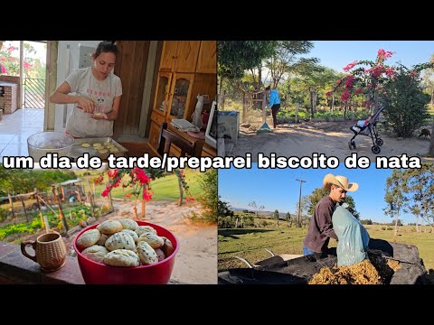 Uma tarde produtiva/trabalho com animais/bolacha de nata/a gripe me pegou🤧vlog