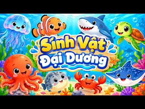 CON GÌ ĐÂY | SINH VẬT BIỂN | BÉ HỌC CON VẬT |