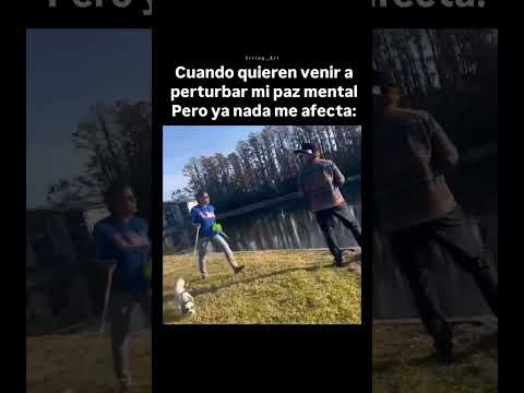 Te chocaste contra la pared papá #sigma #sigmaboy #trent