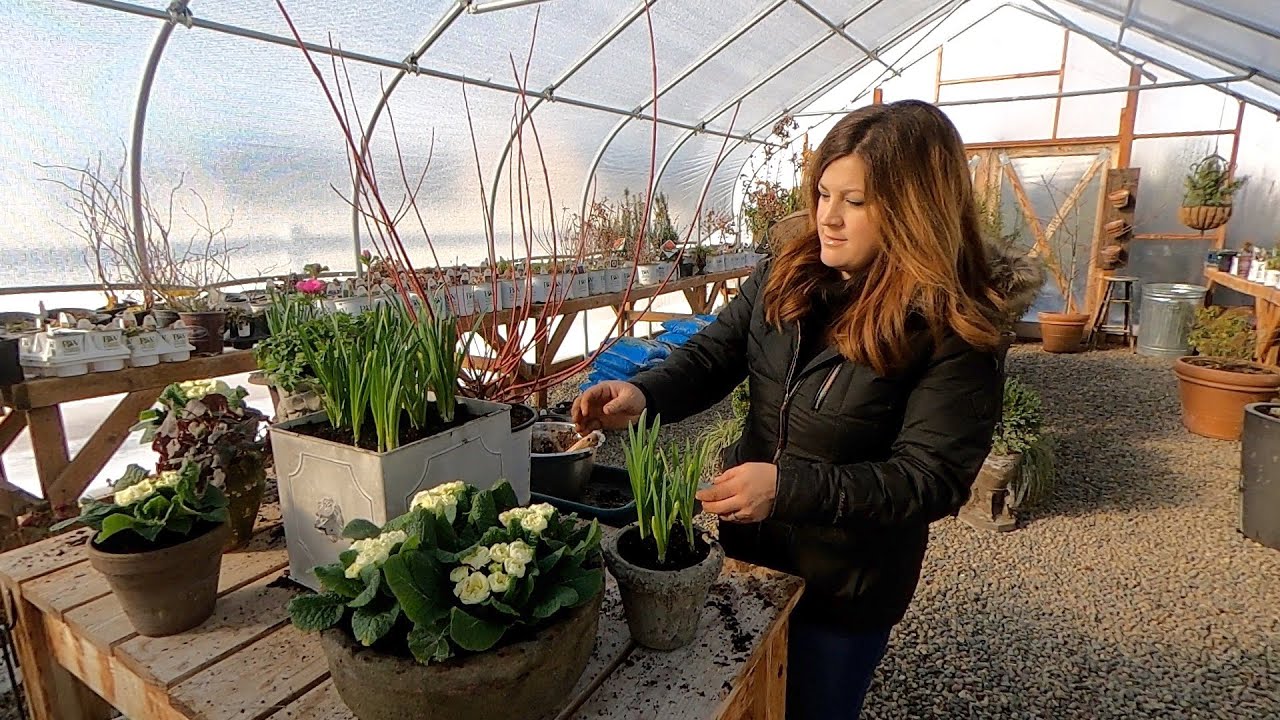 Spring Flowers + Potting Up Artichokes & Ornamental Kale!