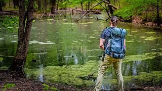 Exploring the Ancient Black Swamps of Ohio | Backpacking Oak Openings Metro Park