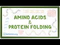 Understanding Proteins and Amino Acids