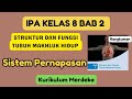 Kuis Sistem Pernafasan IPA Kelas 8