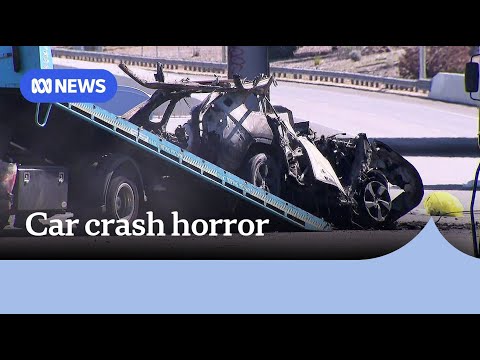 Four people dead after driver made 'conscious decision' to go wrong way | ABC News