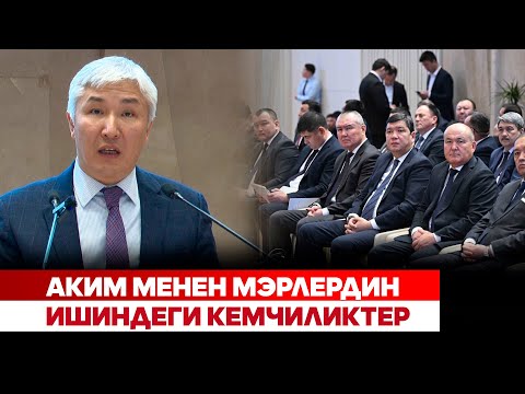 Аким менен мэрлердин ишиндеги кемчиликтер