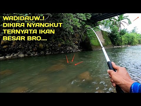 Mancing di Sungai Bawah Jembatan dikira Nyangkut Ternyata ikan Besar