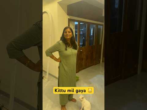 Kittu mil gaya 🐱