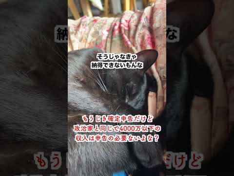 【共感】もうじき確定申告だけど4000万以下は申告いらないでしょ？