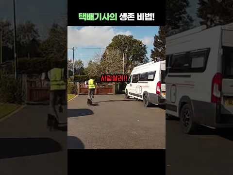택배기사의 개물림 생존 비법!