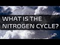 Nitrogen Cycle and Fixation Concepts