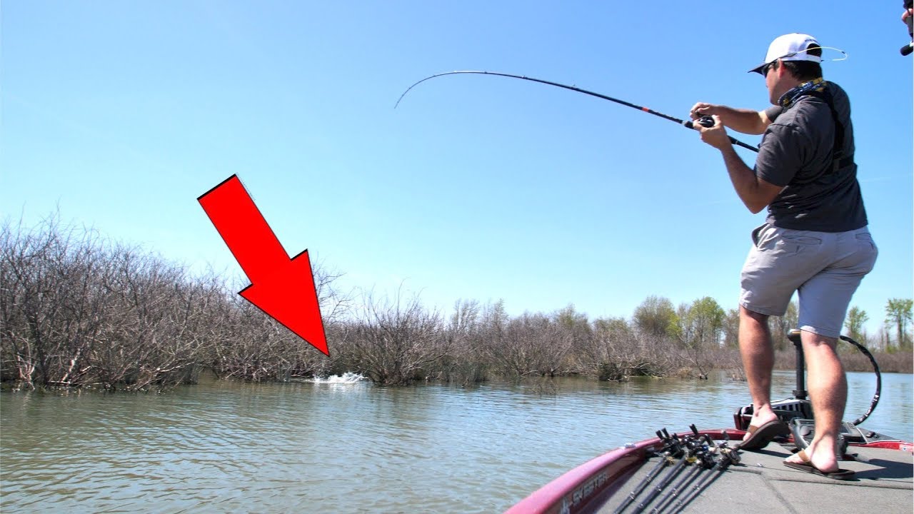 I CAUGHT MY PB BASS WHILE SIGHT FISHING