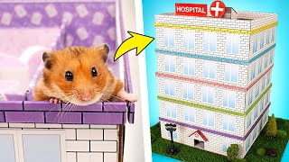 🐹✨ Hamster World Adventure! 🚀 DIY Mazes, Pet Hospital & Space Fun 🌈💖