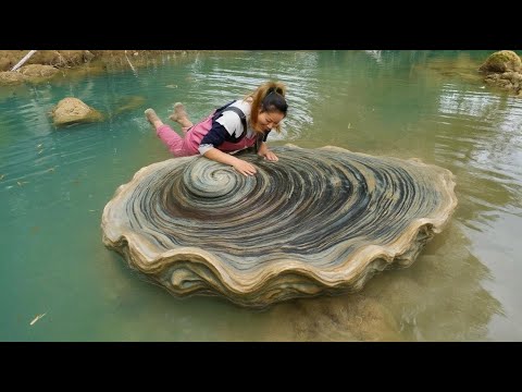 The surprise of giant mussels, the girl was extremely excited to harvest the treasures inside