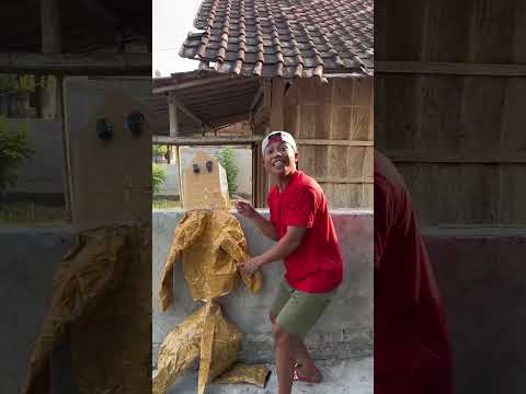 Icak icak di dinding