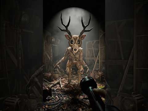 99 Nights in an Abandoned Forest ๐๐ค
