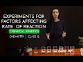 Chemical Reaction Rates and Factors