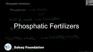 Phosphatic Fertilizers