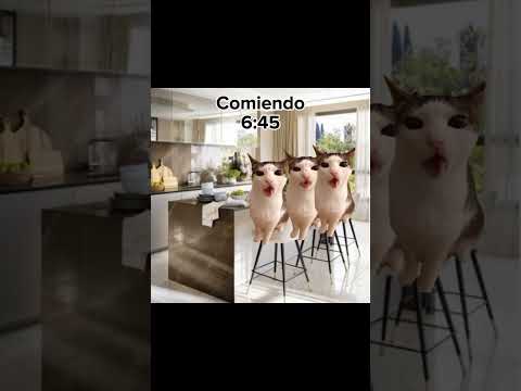 Pov: Hoy es escuela ? versión animales memes #memes #animales #escuela