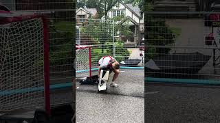 Goose the GOALIE