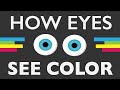 Understanding Light and Color