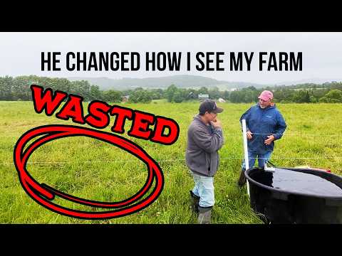 What Grass Whispering Taught Me About My Farm