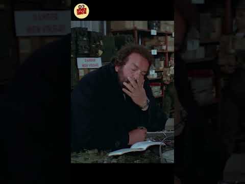 Mein Pferd hatte Geburtstag