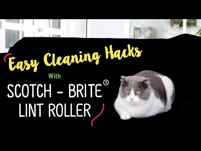 Easy Cleaning Hacks สำนักพิมพ์แม่บ้าน