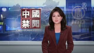 入美以来我接受《新唐人电视台》的采访合集，也解释了我为什么命名为“体制逃亡者”｜媒体采访（一）｜第11期20250606