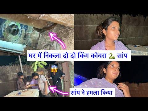 घर में निकला 2 King Kobra सांप 😲 भागने गए तो सांप ने हमला कर दिया 😭 Couple Life Vlogs |