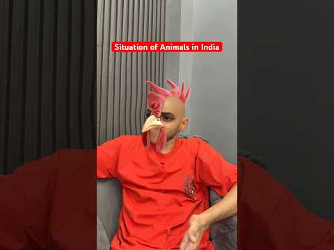 Situation of animals in India | Sarcaster