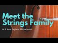 String Instruments Characteristics and Techniques