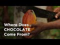 Chocolate Production Processes and Concepts