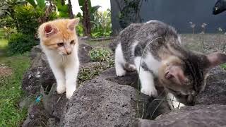 Berdua memang lebih asyik
