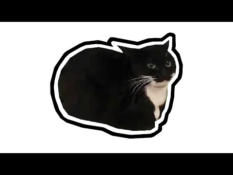 MAXWELL CAT — ОТКУДА МЕМ?
