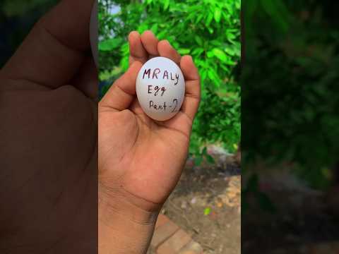 Part-2 I will keep the eggs under the ground for a month🐣#shorts #viral #short