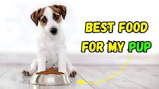 What's the BEST Food for MY Pup