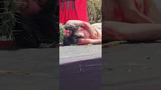 #viacrucis 2025,(resumen 1era parte)