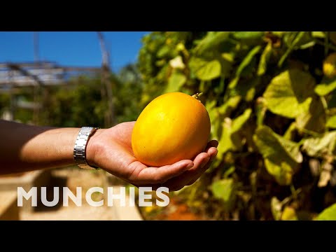 Eating At The Caribbean’s Most Secluded Island Restaurant