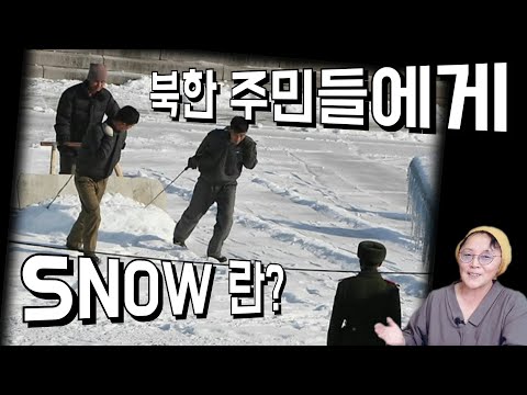 (25/2월4일)늘 젖어있는 신발, 꿋꿋한 양말💥정말 지겨운 눈💥