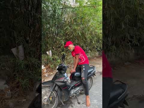 Tết nhất tới nơi rồi còn bắt #lucevisu #giaitrivui #funny