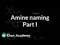 Understanding Amines