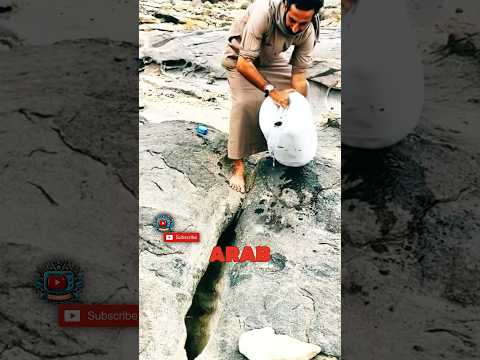 Penggembala Gurun Menyimpan Air di Batu #shortvideo #shorts #short