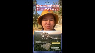 [Dream and Idea] ที่ดินสำหรับทำบ้านสวน วิวภูเขาสุดปัง ❗❗ 950,000 บาทต่อไร่ 3 แปลงเท่านั้น