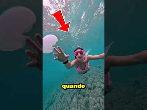 Ela quis pegar as águas-vivas com as PRÓPRIAS MÃOS! #curiosidades #animais